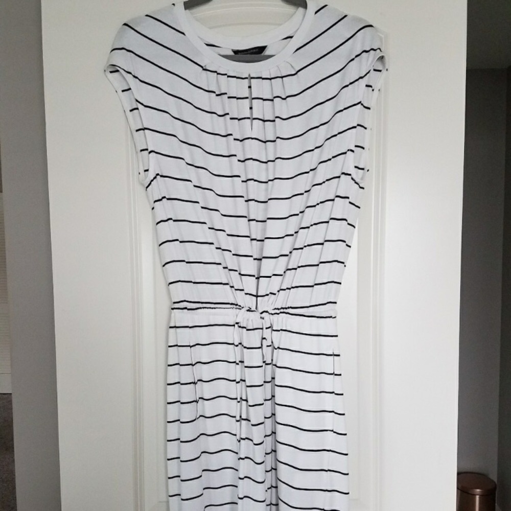 Banana Republic Striped Cotton Dress